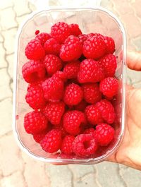 High angle view of hand holding strawberries