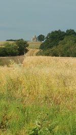 Scenic view of field against clear sky
