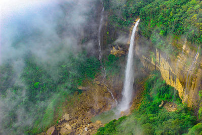 Scenic view of waterfall in forest