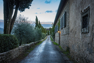 Road amidst trees and buildings against sky