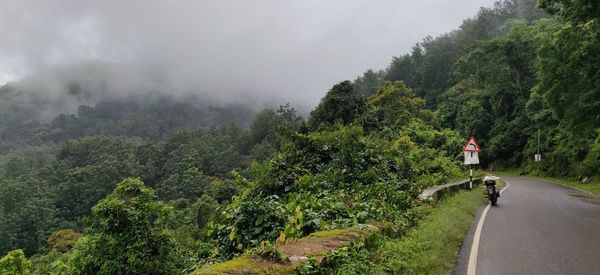 Rear view of man on road amidst trees
