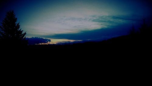 Silhouette of trees at sunset