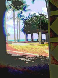 Trees growing against sky