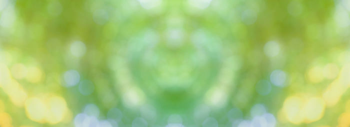 Close-up of blurred background