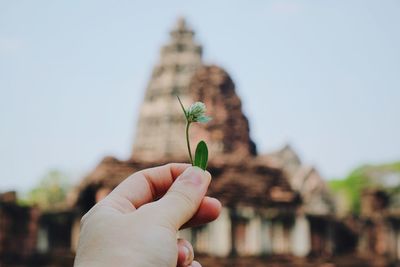 Close-up of hand holding plant against clear sky