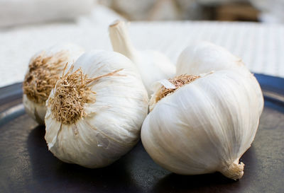 Close-up of garlic on table