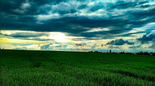 Scenic view of agricultural field against sky