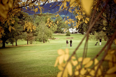 People playing in park