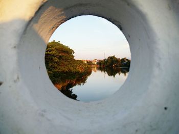 Reflection of trees in water