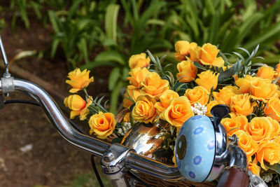 Bike and flowers