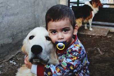 domestic animals