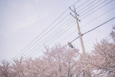 Low angle view of electricity pylon against sky