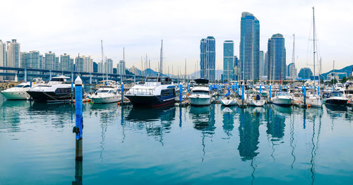 Sailboats moored on harbor against buildings in city