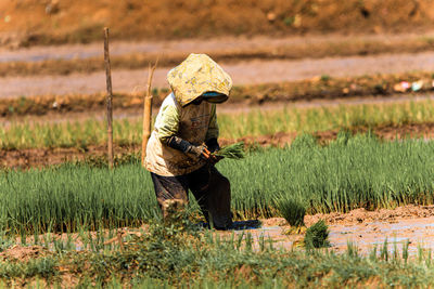 Rear view of woman standing on field