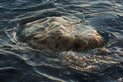 Full frame shot of sea water