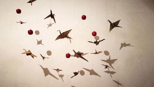 Paper cranes hanging against wall