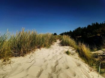 Scenic view of beach against clear blue sky