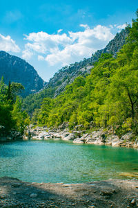 Scenic view of lake by trees against sky