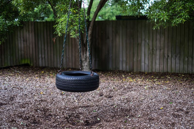 Potted plant on field in back yard