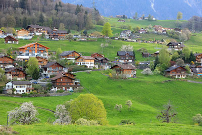 High angle view of houses in village