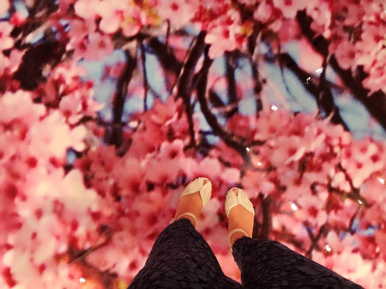 human leg, low section, real people, human foot, one person, pink color, women, human body part, shoe, flower, outdoors, close-up, beauty in nature, day, nature, nail polish, tree, people