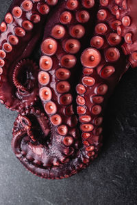 High angle closeup of fresh octopus tentacles with red suckers placed on dark table