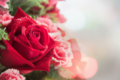 Close-up of rose bouquet