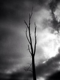 Low angle view of bare tree against cloudy sky