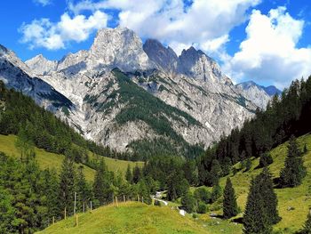 Scenic view of pine trees and mountains against sky