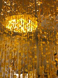 Full frame shot of yellow flowering plants hanging from ceiling