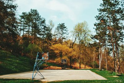 Basketball court by trees during autumn