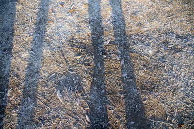 High angle view of snow on field