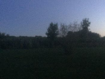 Scenic view of trees on field against clear sky