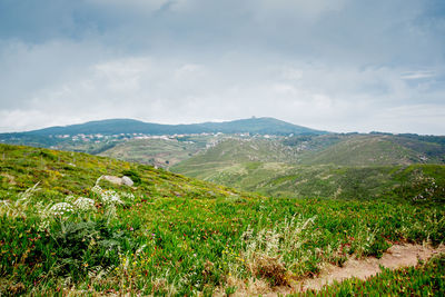 Scenic view of landscape against sky