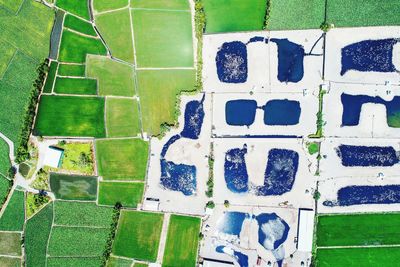 Full frame shot of agricultural field