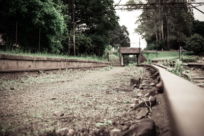 View of railway tracks along trees