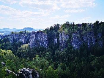 Plants growing on rocks against sky