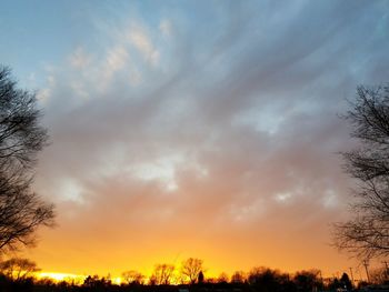 Low angle view of silhouette trees against sky at sunset