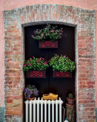 Potted plants on brick wall