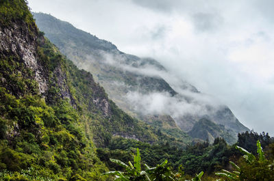 Scenic view of grassy mountains against cloudy sky