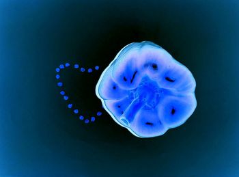 Close-up of hands over black background