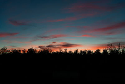 Silhouette trees against sky during sunset