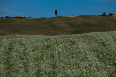 View of landscape against clear blue sky