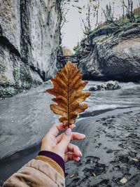 Cropped hand of woman holding maple leaf against river in forest