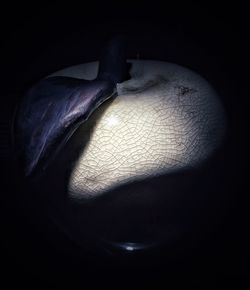 Close up of object over black background