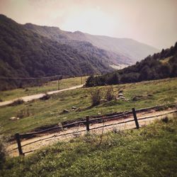 Scenic view of field against sky