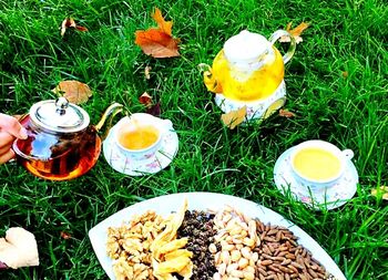 High angle view of breakfast on field