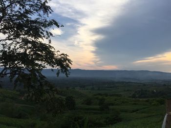 Scenic view of agricultural field against sky at sunset