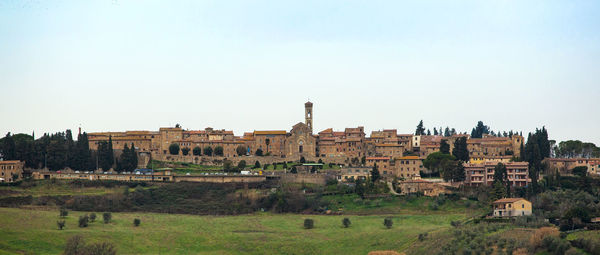 Tuscany hills rural countryside landscape, cypress passages and vineyards. wheat, olives cultivation