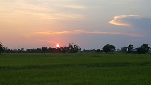 Scenic view of field against sky during sunset